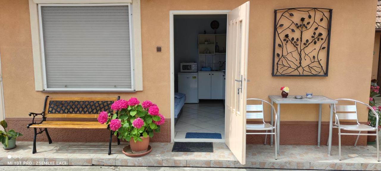 Veľký MederHodosi Apartmanアパートメント エクステリア 写真