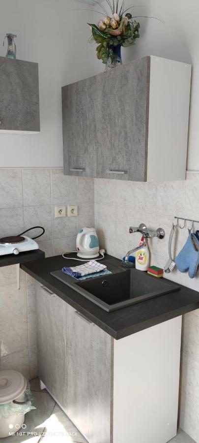 Veľký MederHodosi Apartmanアパートメント エクステリア 写真