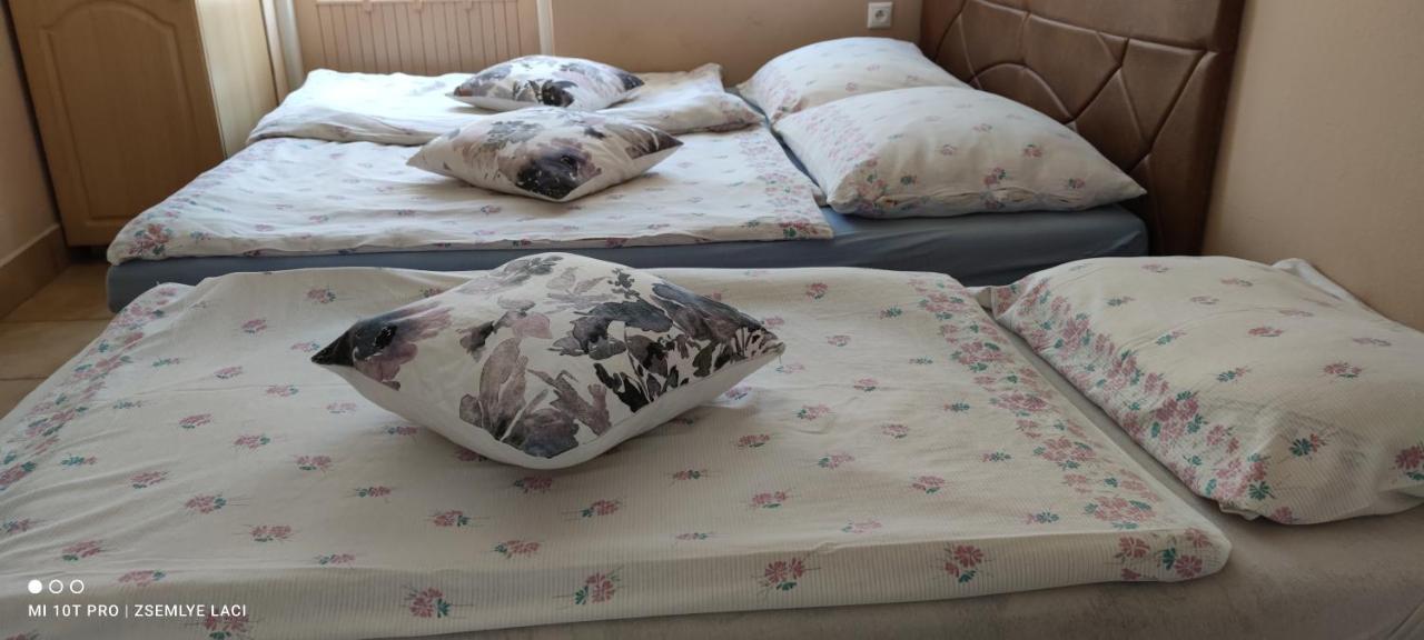 Veľký MederHodosi Apartmanアパートメント エクステリア 写真