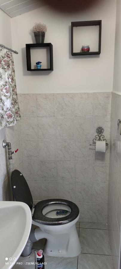 Veľký MederHodosi Apartmanアパートメント エクステリア 写真