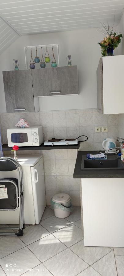 Veľký MederHodosi Apartmanアパートメント エクステリア 写真