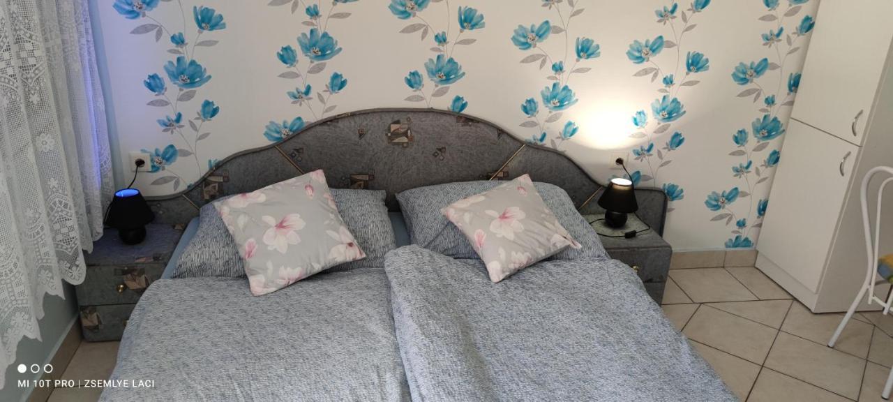 Veľký MederHodosi Apartmanアパートメント エクステリア 写真
