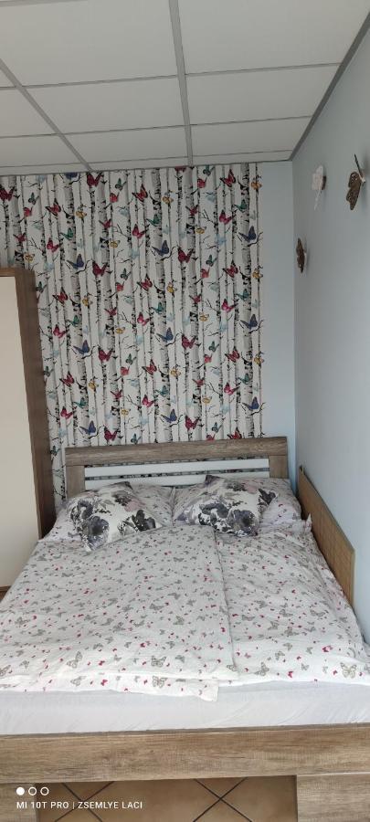 Veľký MederHodosi Apartmanアパートメント エクステリア 写真