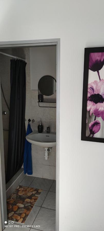 Veľký MederHodosi Apartmanアパートメント エクステリア 写真
