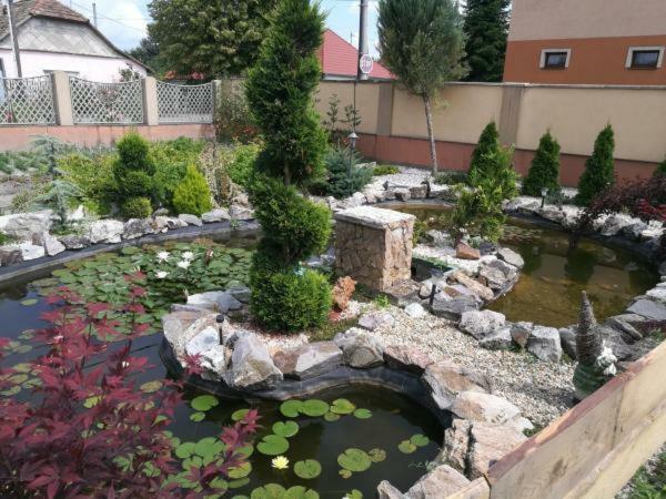 Veľký MederHodosi Apartmanアパートメント エクステリア 写真